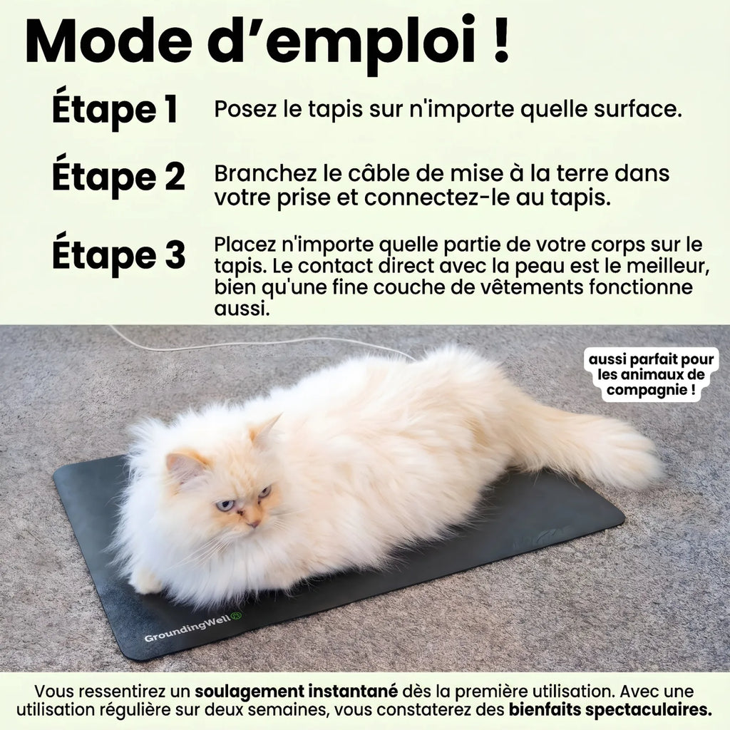 Tapis Solvita - Pack complet