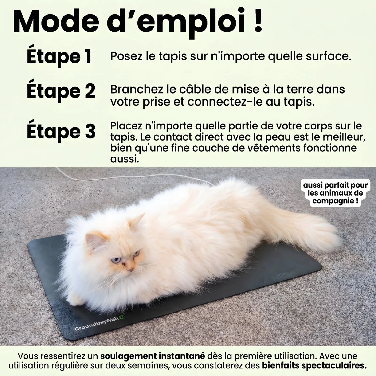 Tapis Solvita - Pack complet